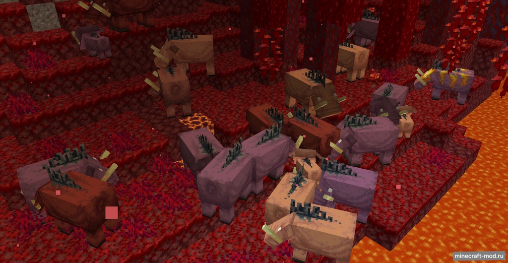 Мод Animarmor для Minecraft 1.20.1 forge