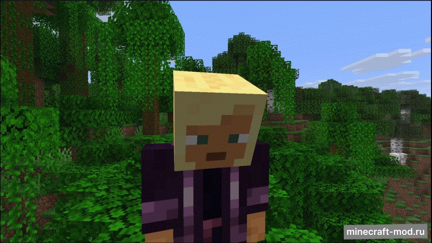 Мод Look at Me для Minecraft 1.21.10 fabric