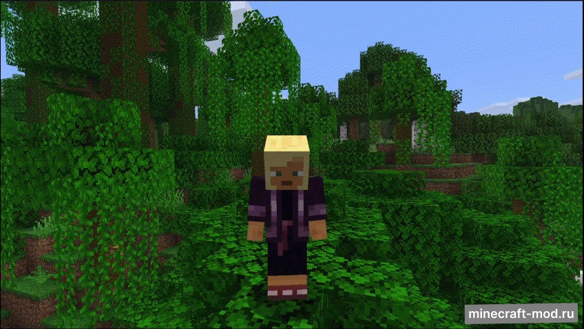 Мод Look at Me для Minecraft 1.21.10 fabric