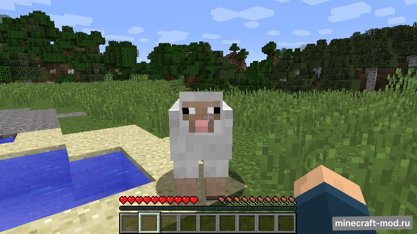 Мод Punch Wool Off Sheep для Minecraft 1.12.2