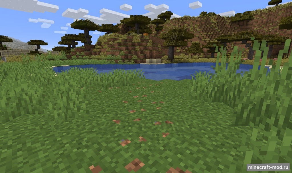 Мод Desire Paths для Minecraft 1.14.3, 1.14.2, 1.14.1,  ...