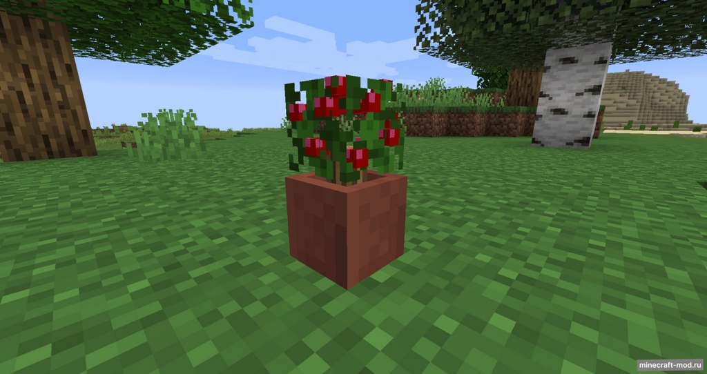 Мод Potted Bushes для Minecraft 1.14.4