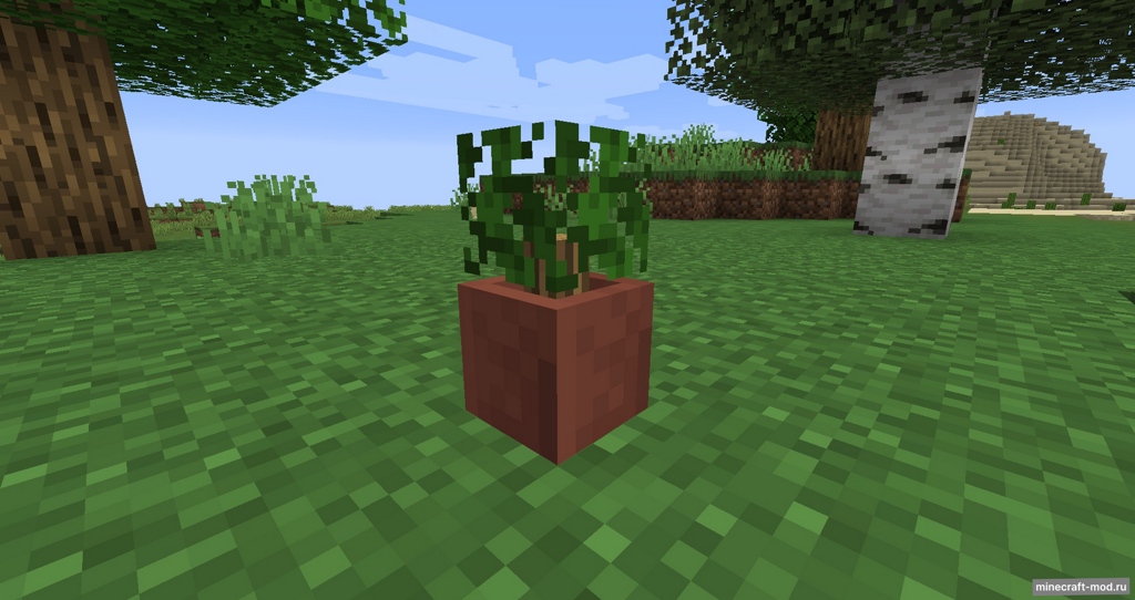 Мод Potted Bushes для Minecraft 1.14.4