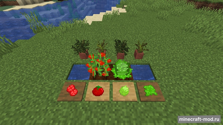 Мод Sandwichable для Minecraft 1.20.1, 1.20, 1.19,  ...