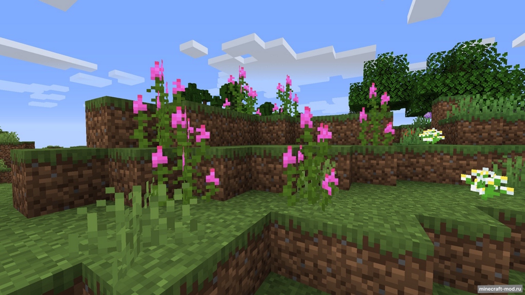 Мод Woods and Mires для Minecraft 1.20.1, 1.19.4, 1.19.3,  ...