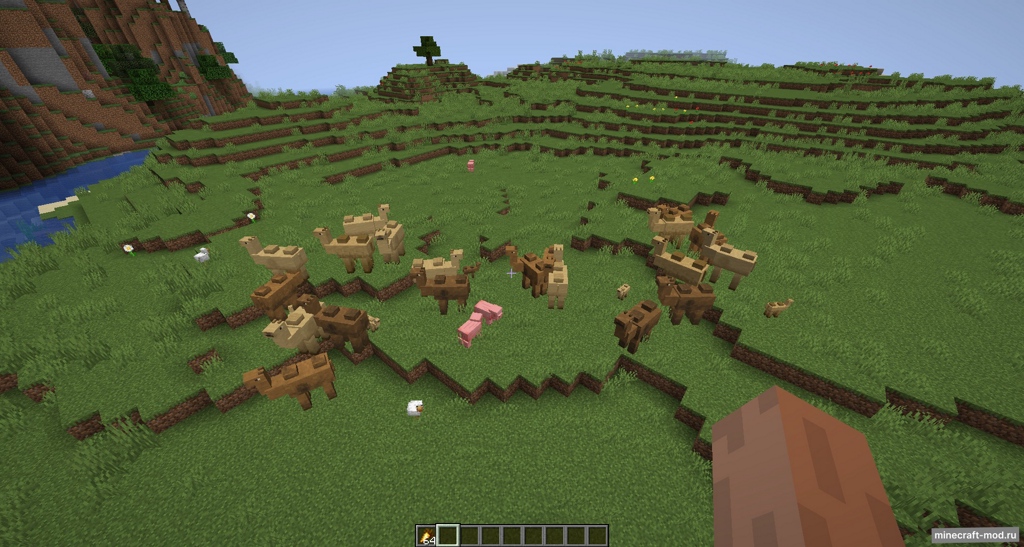 Мод Camels для Minecraft 1.16.5, 1.16.4, 1.15.2,  ...